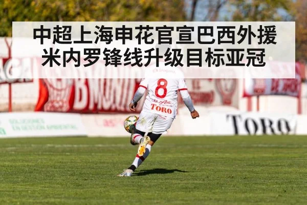 中超上海申花官宣巴西外援米内罗锋线升级目标亚冠
